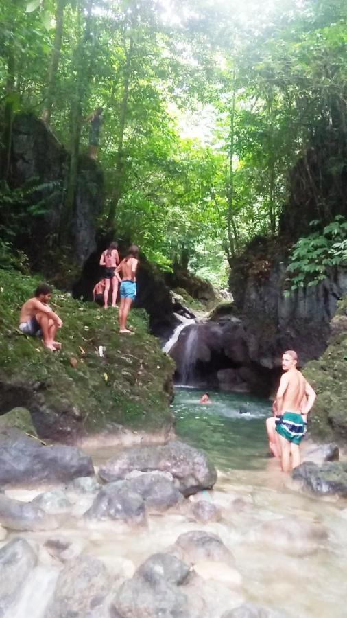 Salty Dog Hostel Telukdalem Екстер'єр фото